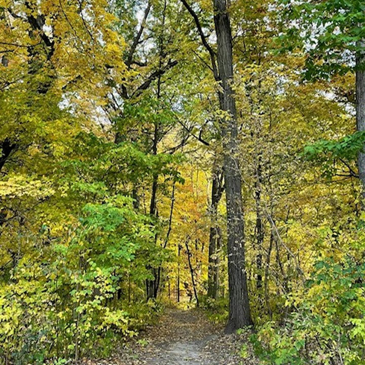Walking Trail